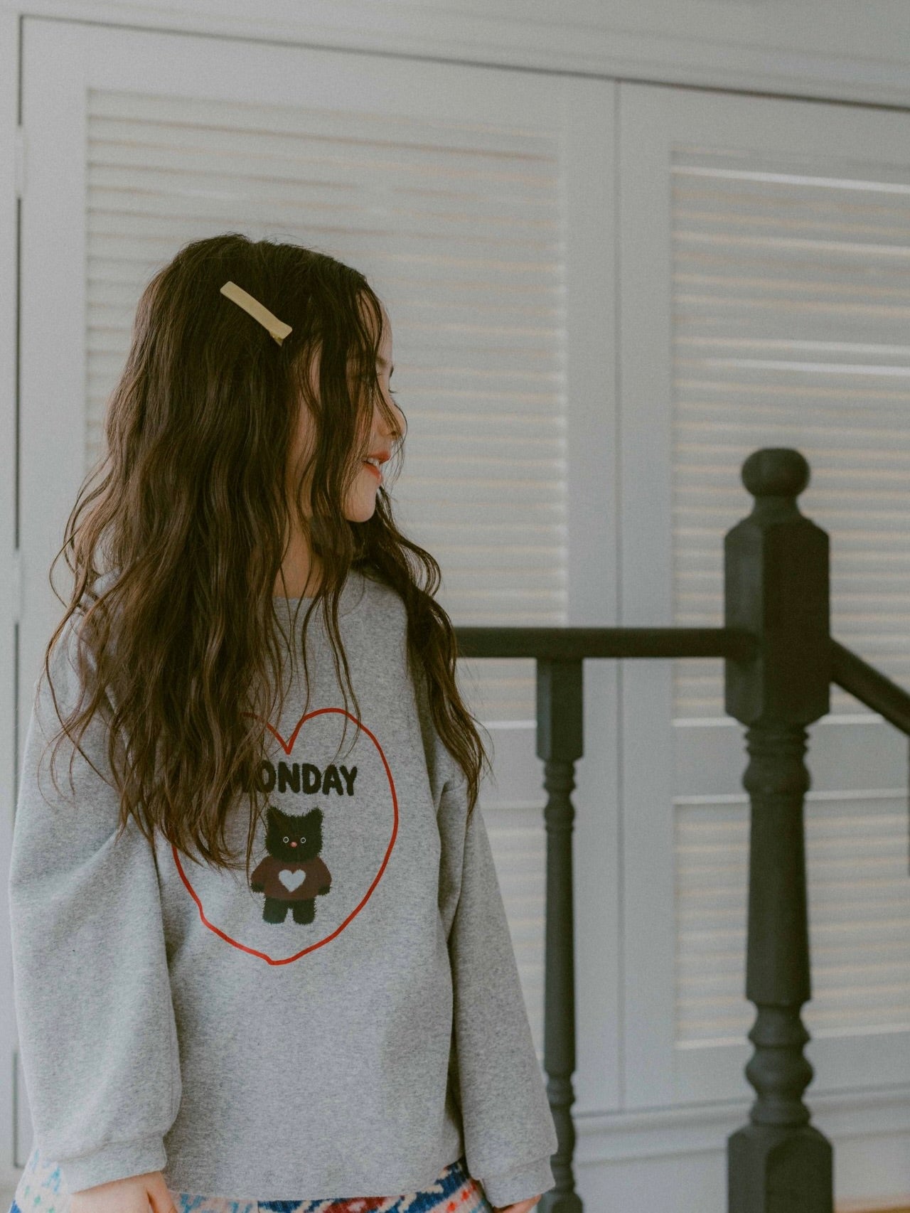 Colored hair clip set (2 pieces)