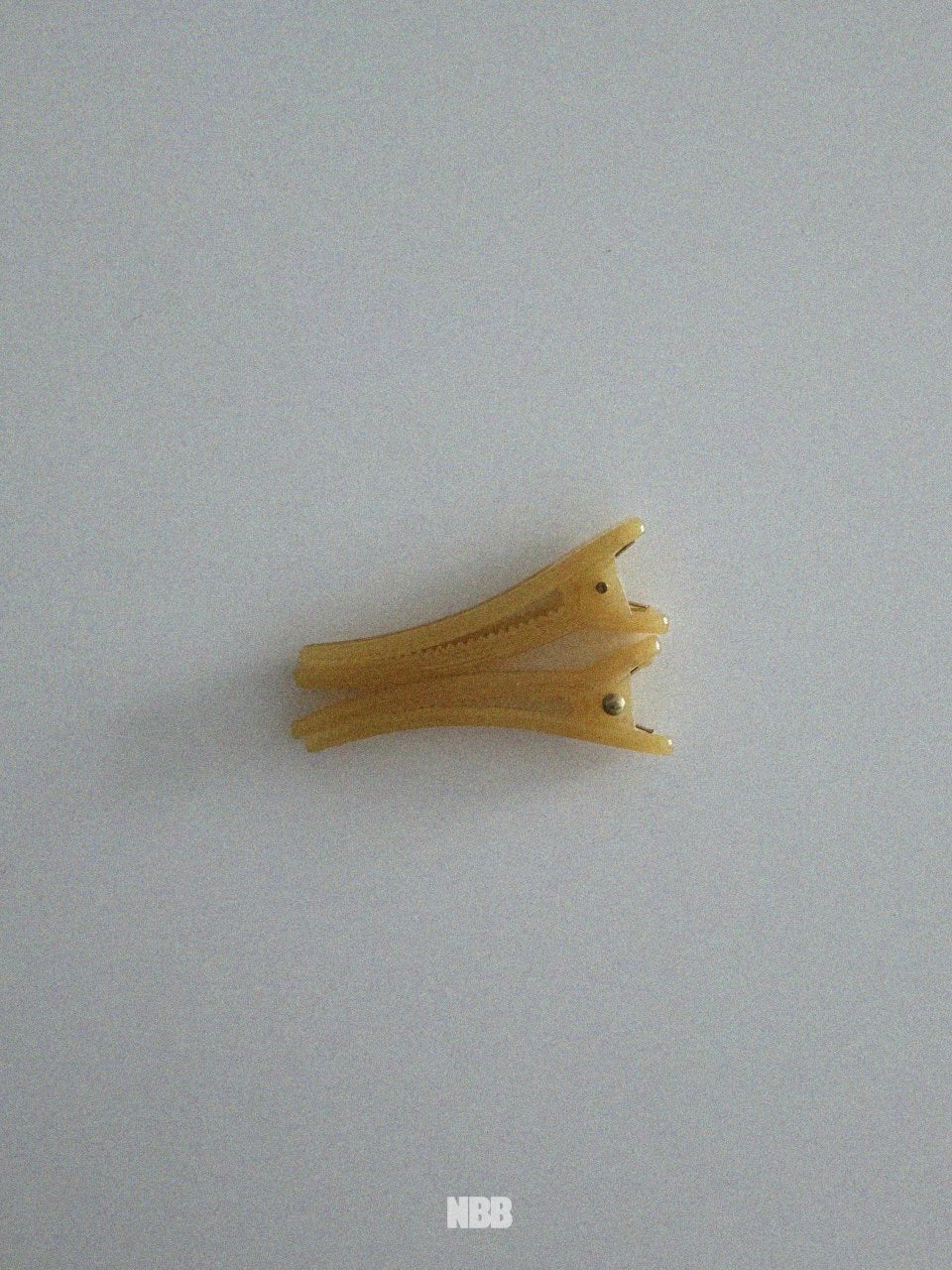 Colored hair clip set (2 pieces)