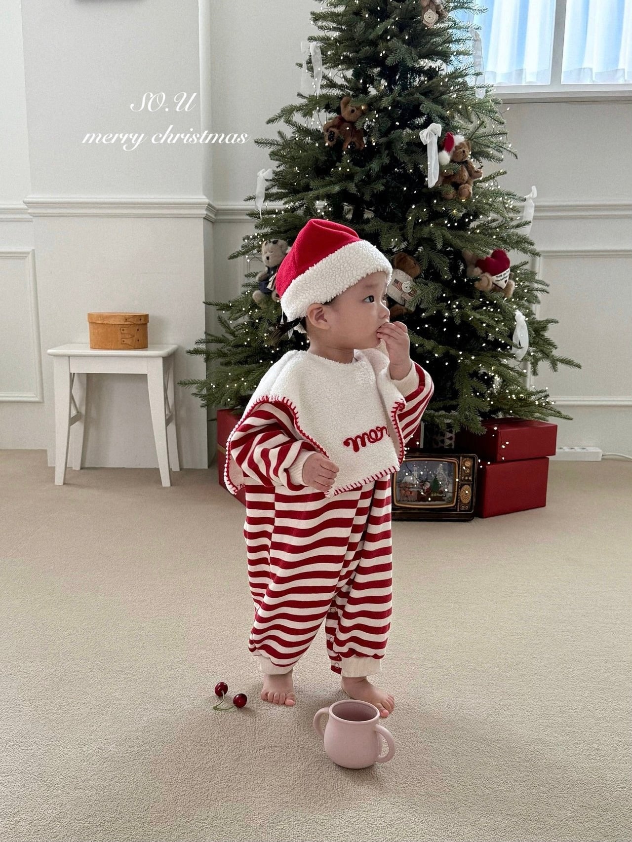 Christmas embroidered cape