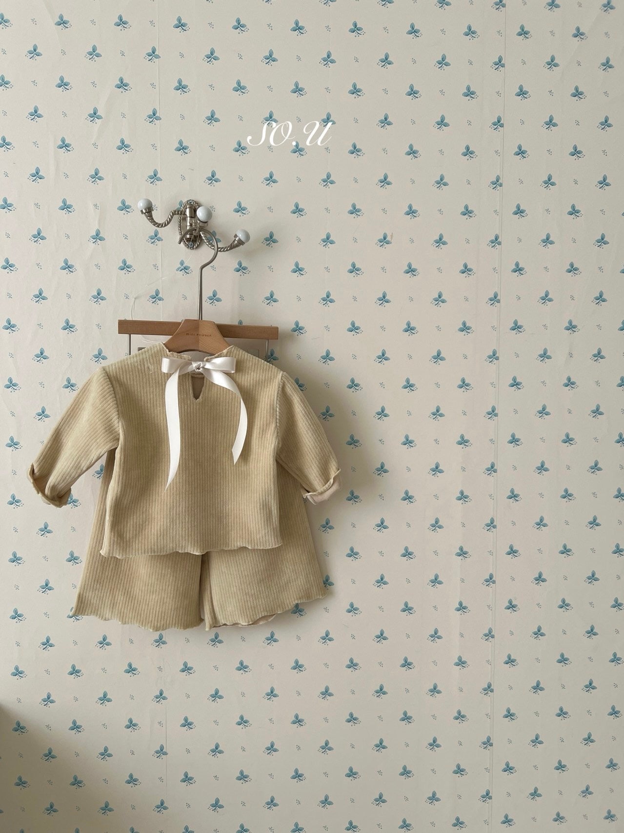 Winter back ribbon set