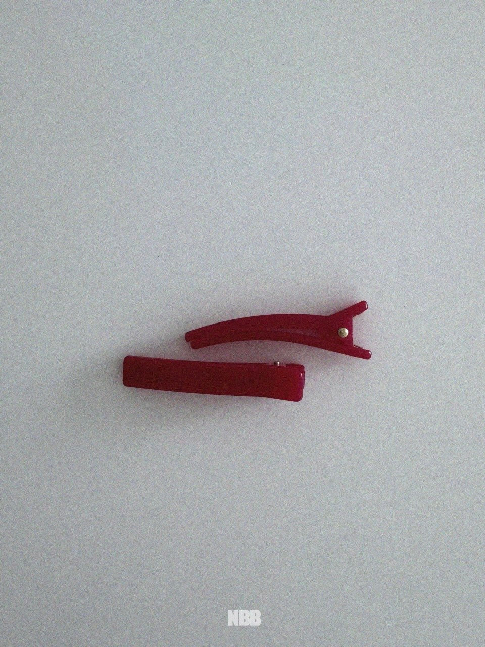 Colored hair clip set (2 pieces)