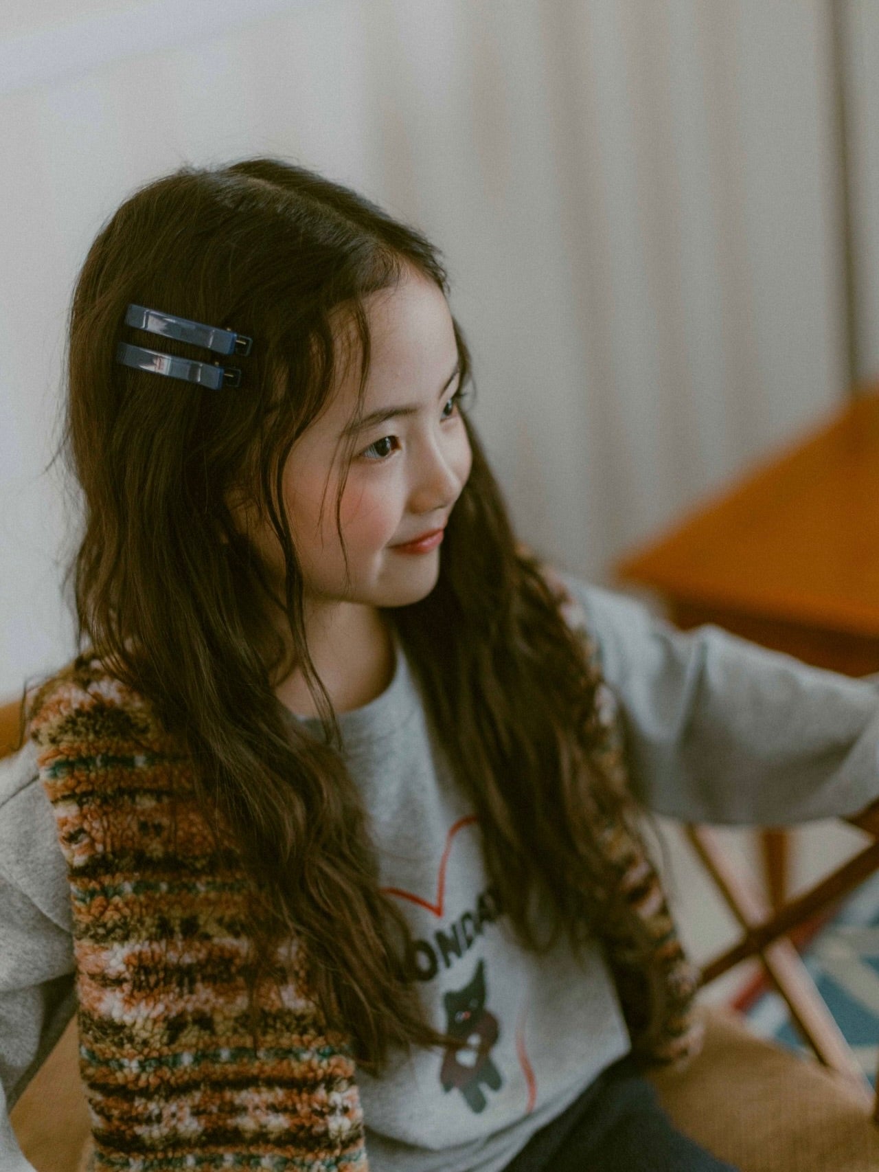 Colored hair clip set (2 pieces)