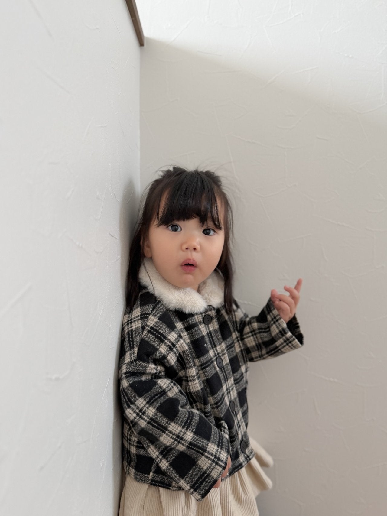 Check collar winter coat